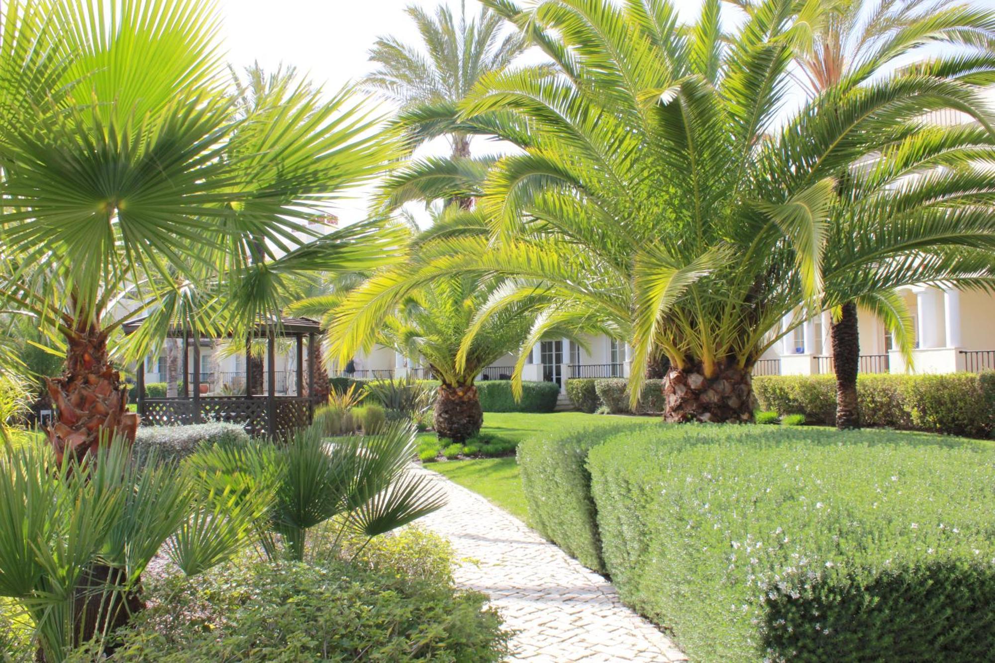 Luxury 3 Bedroom Apartment On Gated Complex Quarteira Exteriér fotografie